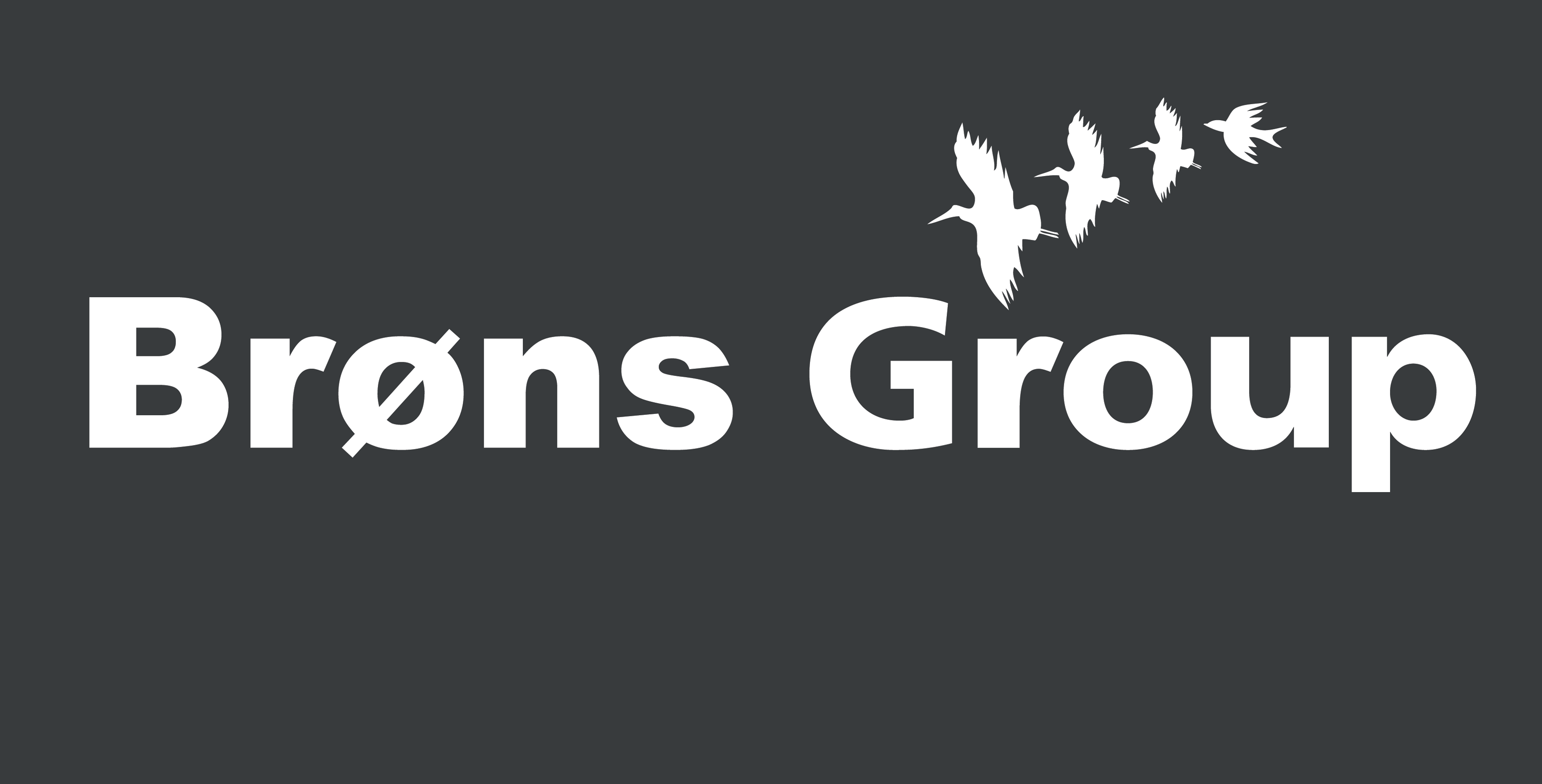Brøns Group